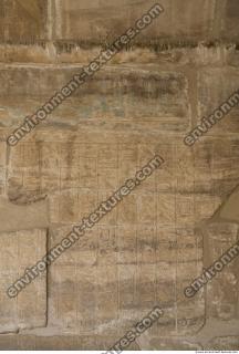 Photo Texture of Habu 0096